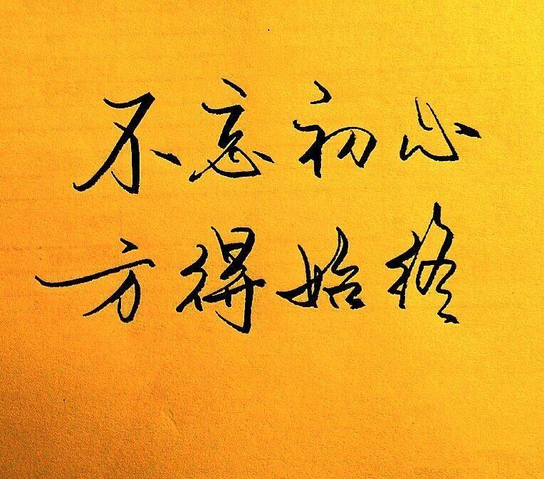 小白学网站优化