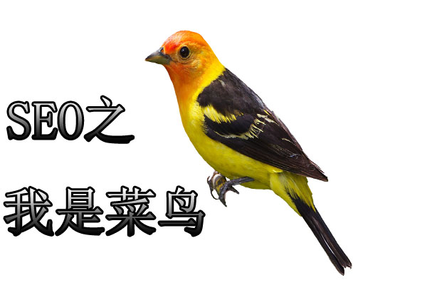 seoxinshou.jpg
