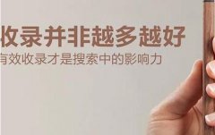 收录量和外链，哪个重要你了解过吗？