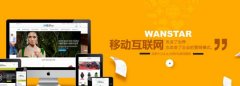 企业SEO优化转大型网站SEO优化应该具备哪些技能